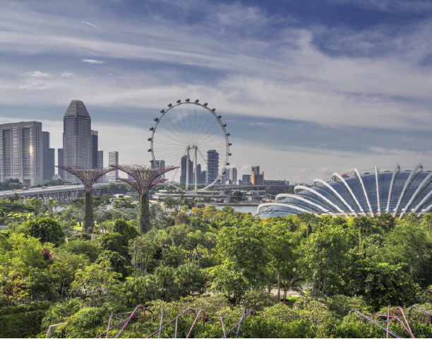 Image of Taking the first step